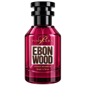 EBON WOOD (Inspired by Oud Wood French)