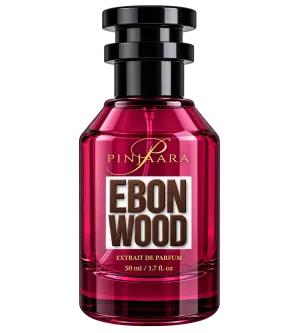 EBON WOOD (Inspired by Oud Wood French)